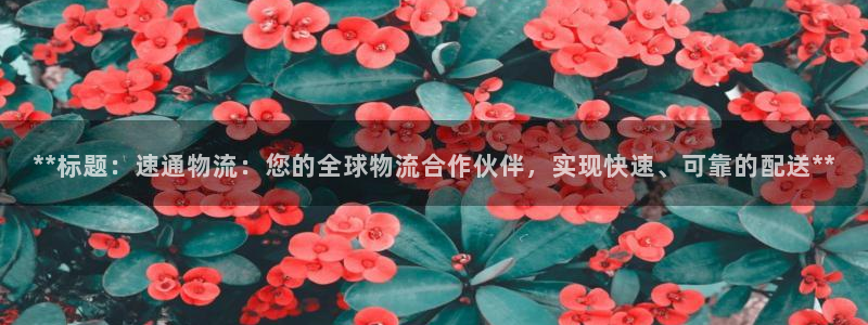 28圈注册网站多少钱：**标题：速通