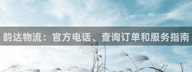 28圈充值方式