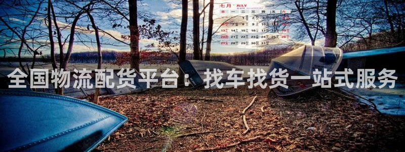 28圈充值不到账什么原因：全国物流配