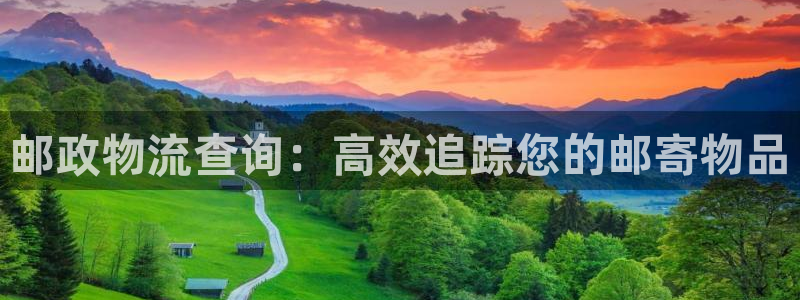 南宫28圈官网版：邮政物流查询：高效