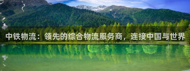 28圈体育下载：中铁物流：领先的综合