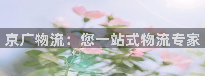 28圈加拿大在线预测：京广物流：您一