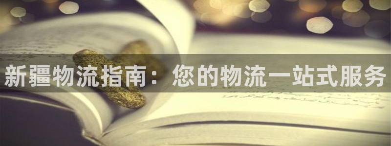 28圈注册网站APP：新疆物流指南：