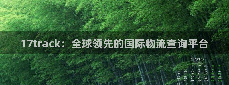 28圈加拿大官网：17track：全