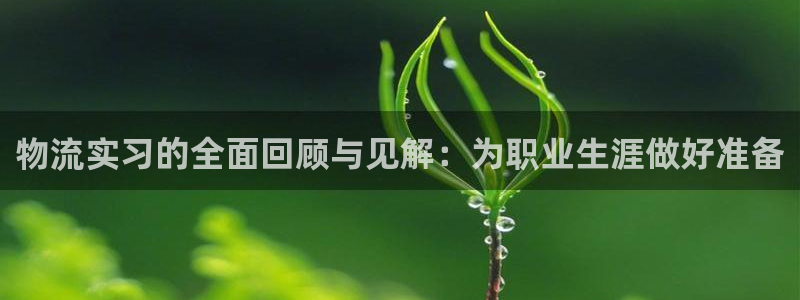 28圈如何退款：物流实习的全面回顾与