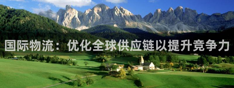 28圈游戏官网入口：国际物流：优化全