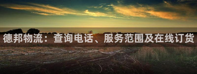 28圈辅助：德邦物流：查询电话、服务