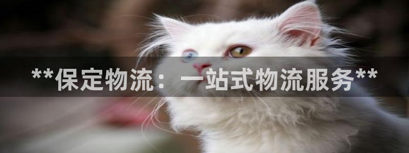 28圈如何退款：**保定物流：一站式