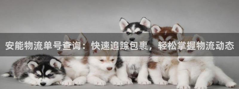 28圈相信品牌的力量：安能物流单号查