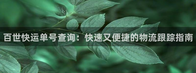 28圈机器人是什么软件
