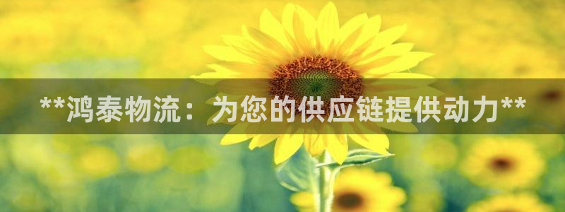 28圈怎么注册账号：**鸿泰物流：为