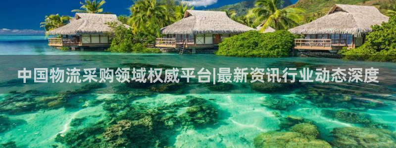 28圈电子游戏：中国物流采购领域权威
