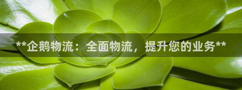 28圈充值不处理：**企鹅物流：全面