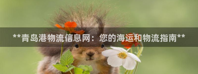 28圈提现不到账：**青岛港物流信息