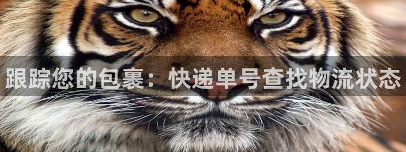 28圈注册网站APP：跟踪您的包裹：