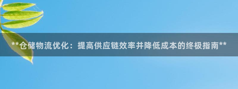 28圈怎么注册下载：**仓储物流优化