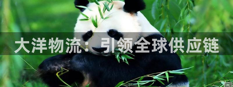 28圈app怎么注销：大洋物流：引领