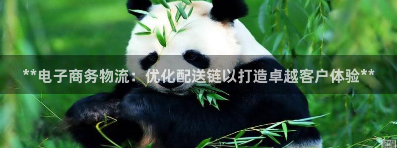 28圈反水：**电子商务物流：优化配