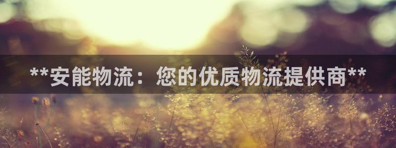 28圈加拿大下载：**安能物流：您的