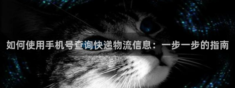 28圈麻将胡了：如何使用手机号查询快