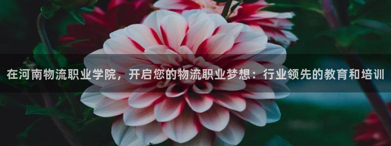 28圈网赌有什么风险