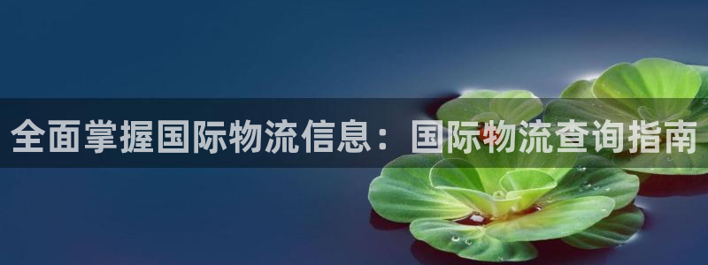 28圈现在狂杀：全面掌握国际物流信息