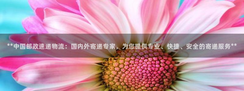 28圈app注册地址：**中国邮政速