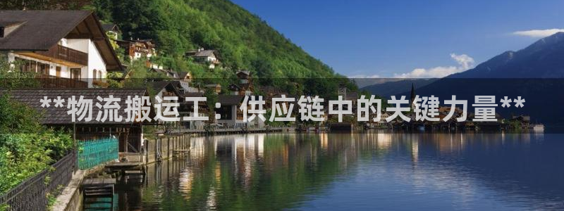 28圈官方官网