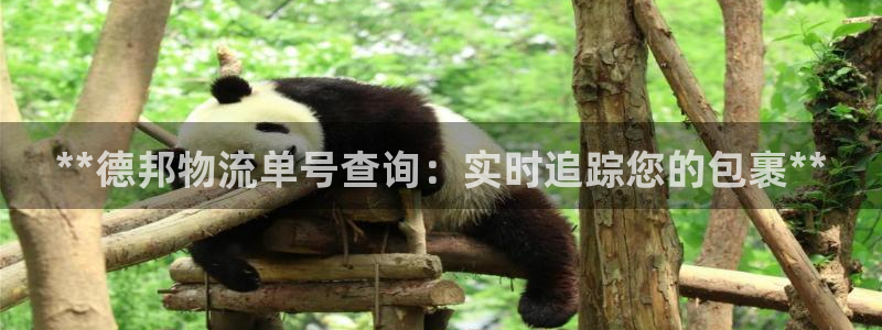 28圈初始密码在哪里修改：**德邦物