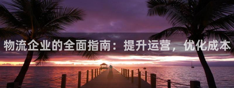 28圈注册官网：物流企业的全面指南：