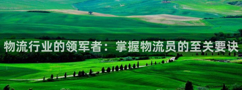 28圈注册网站：物流行业的领军者：掌