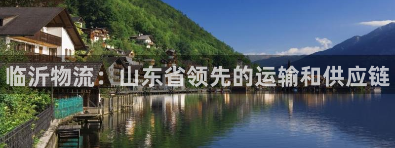 28圈官网预测：临沂物流：山东省领先