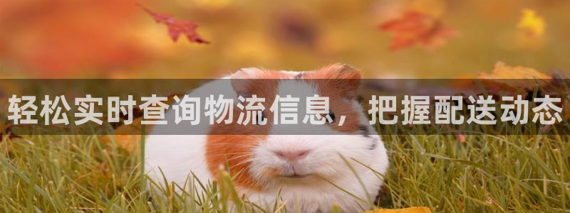 28圈娱乐官网网页入口：轻松实时查询