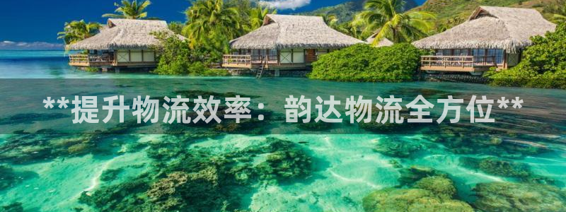 28圈软件：**提升物流效率：韵达物