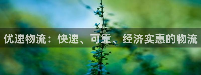 28圈昵称：优速物流：快速、可靠、经
