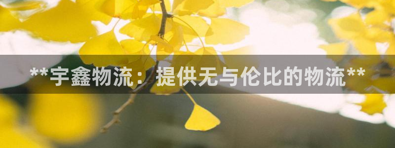 28圈取保：**宇鑫物流：提供无与伦