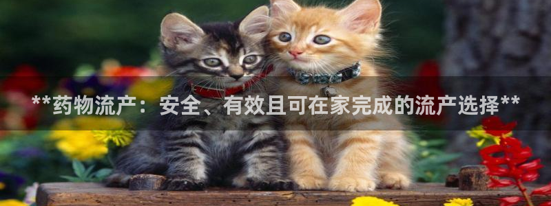 28圈二维码：**药物流产：安全、有