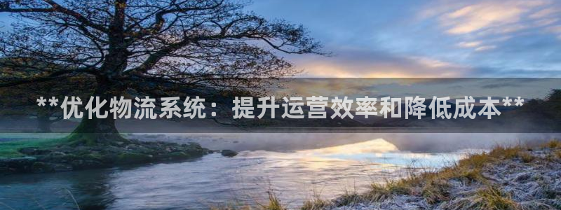 28圈农业银行是狗卡吗：**优化物流