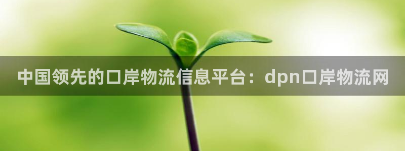 28圈二维码：中国领先的口岸物流信息