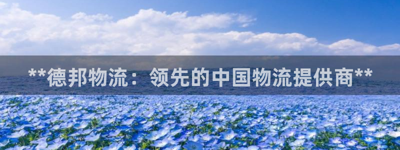 28圈注册地址：**德邦物流：领先的
