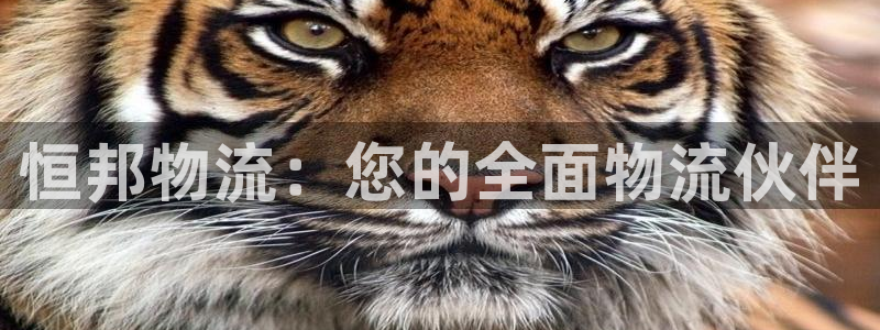 28圈官网注册：恒邦物流：您的全面物