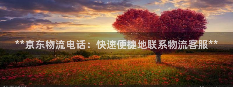 28圈注册网站加拿大：**京东物流电