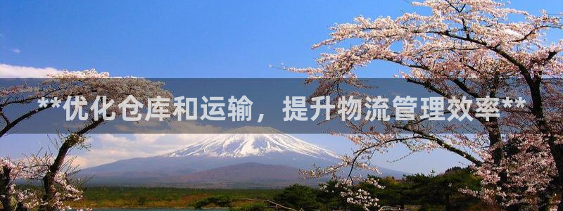28圈大神预测：**优化仓库和运输，