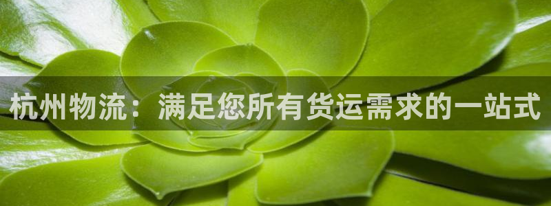 28圈南宫娱乐官网：杭州物流：满足您