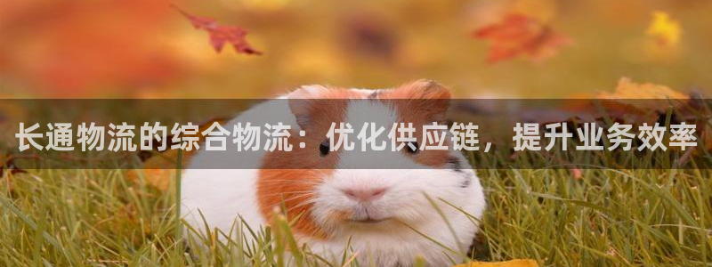 28圈官方网站预测：长通物流的综合物