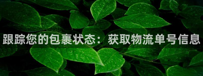 28圈反水什么时候到