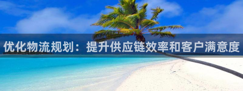 28圈p扣除：优化物流规划：提升供应
