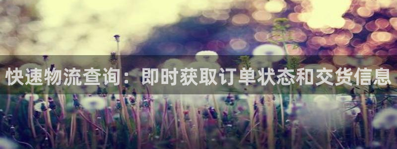 28圈登录不上咋回事：快速物流查询：