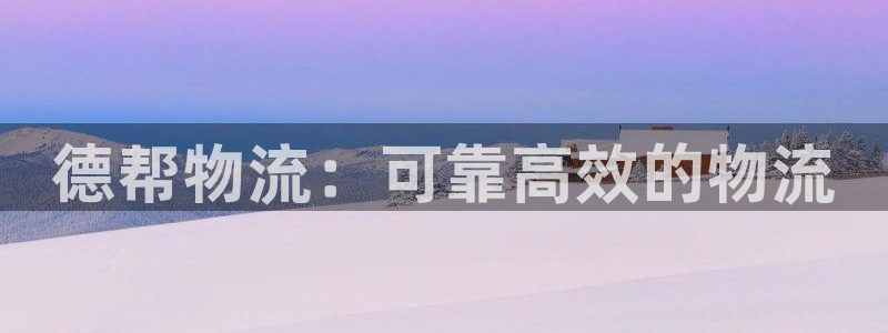 28圈龙虎：德帮物流：可靠高效的物流