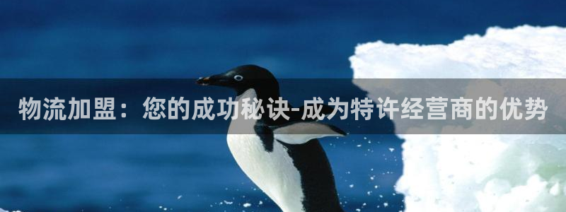 28圈软件总是闪退怎么回事